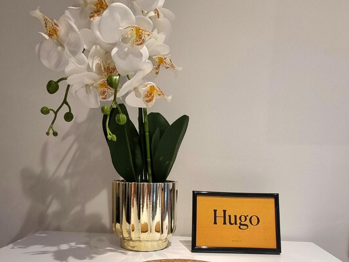 베오그라드 Hugo Old Town 아파트 외부 사진